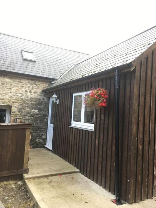 Y Boidy Bach Villa Llangranog Exterior photo